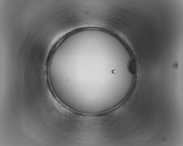 X0000111181072200907011027