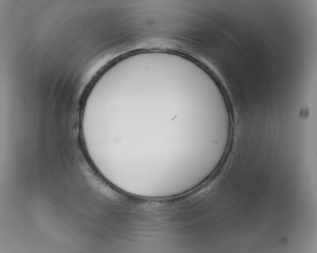 X0000111181075200907011027