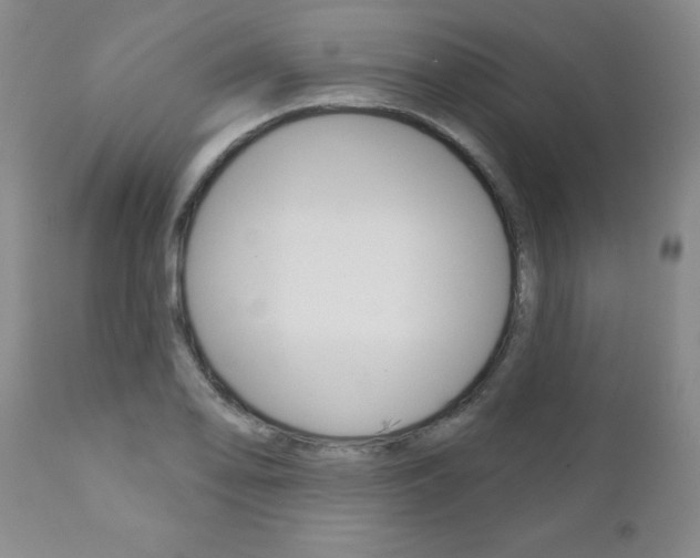 X0000111181078200907011027