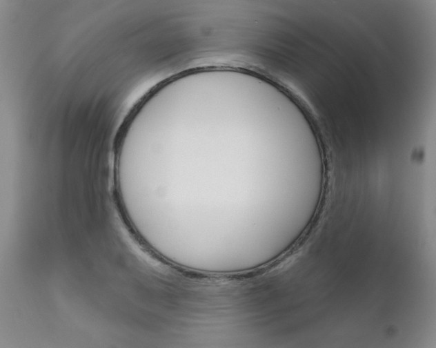 X0000111181079200907011027