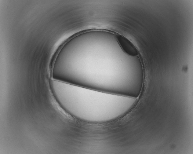 X0000111181080200907011027