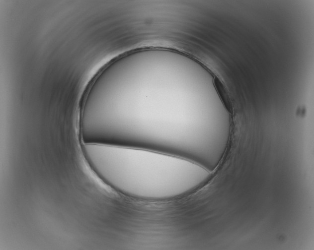 X0000111181084200907011027