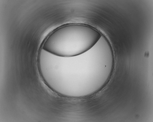 X0000111181085200907011027
