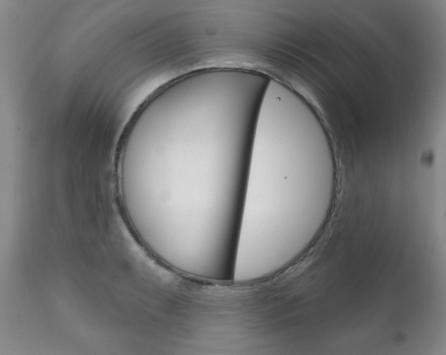 X0000111181087200907011027