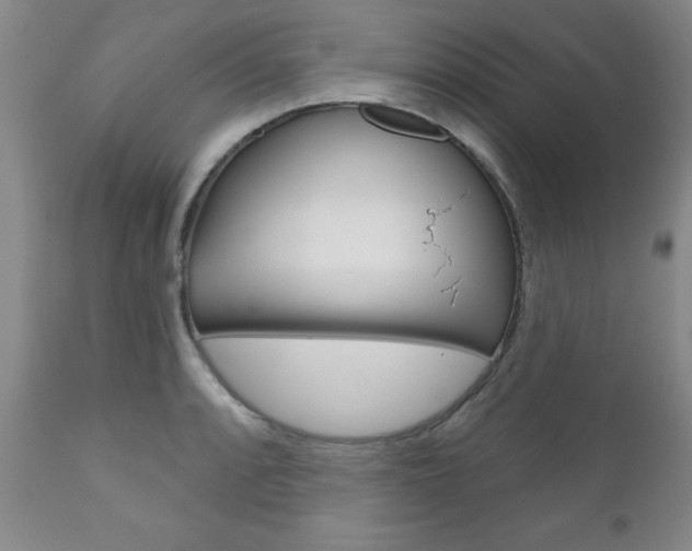 X0000111181088200907011027
