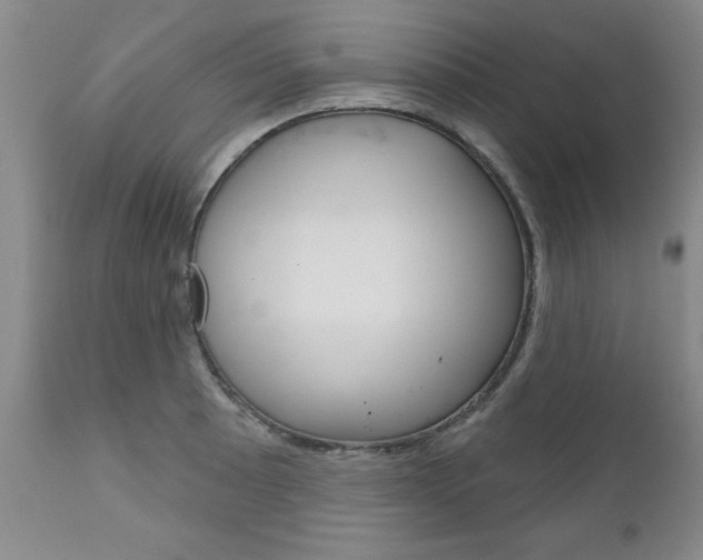X0000111181089200907011027
