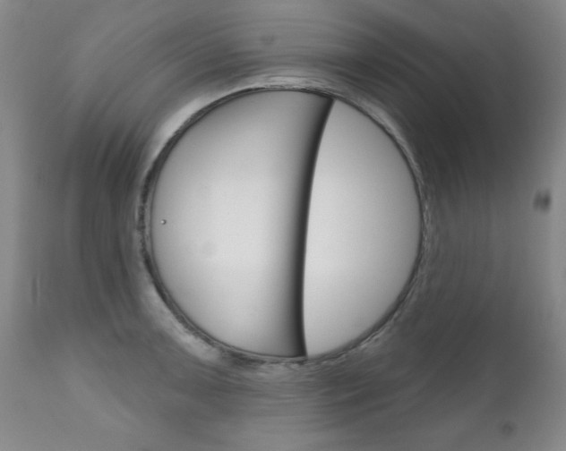 X0000111181091200907011027