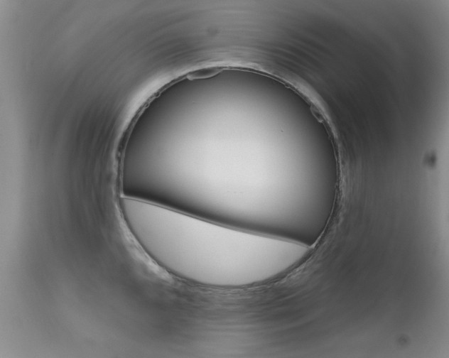 X0000111181096200907011027