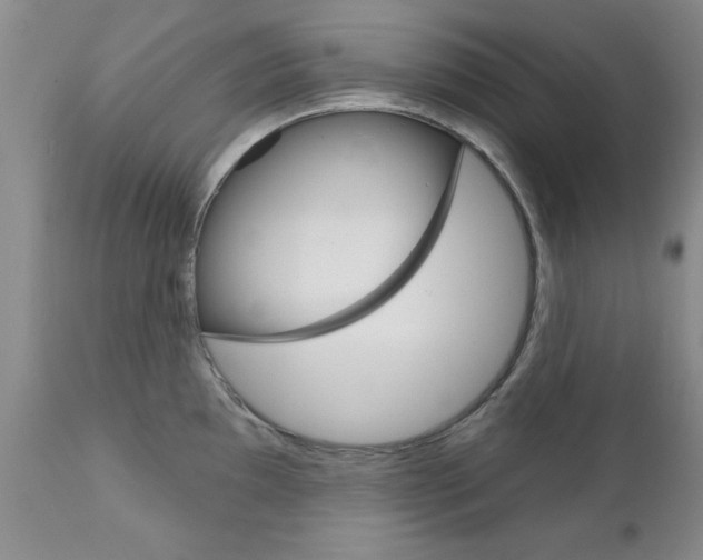 X0000111181097200907011027