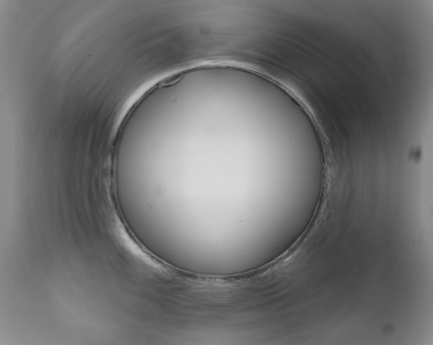 X0000111181100200907011027