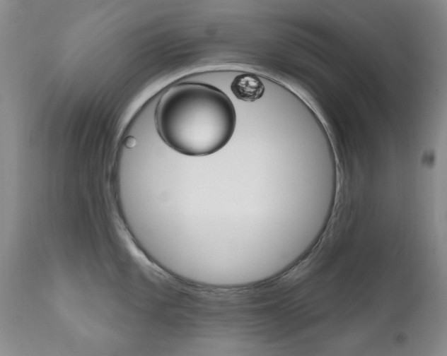 X0000111181101200907011027
