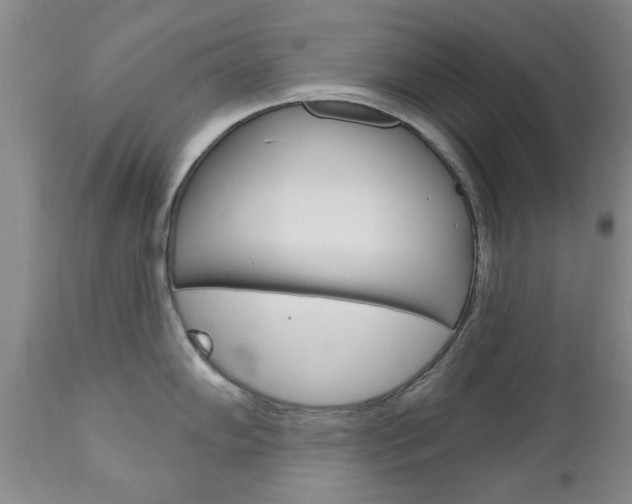 X0000111181102200907011027