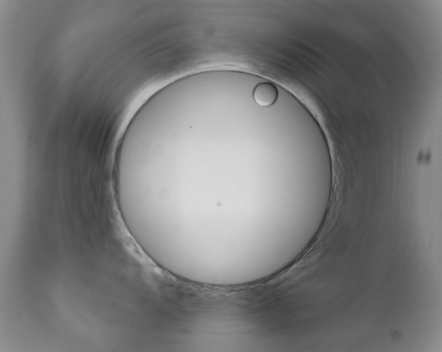 X0000111181104200907011026
