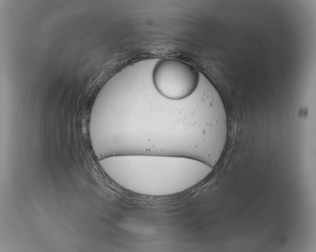 X0000111181106200907011026