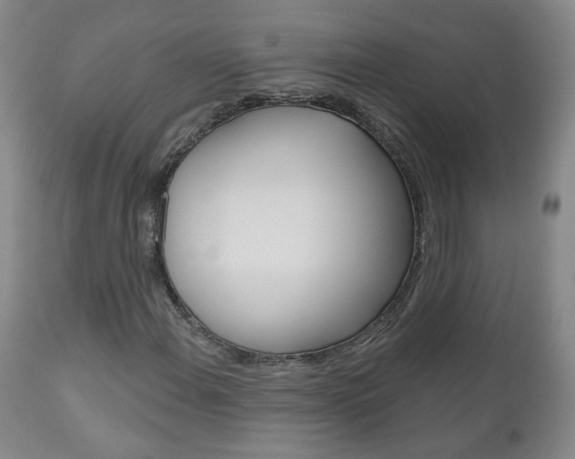 X0000111181108200907011026