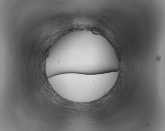 X0000111181109200907011026