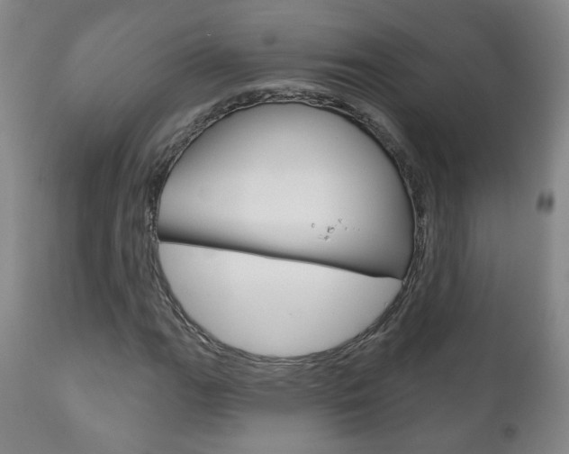 X0000111181111200907011026