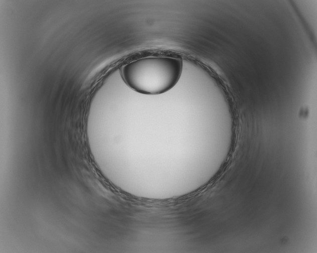 X0000111181112200907011026