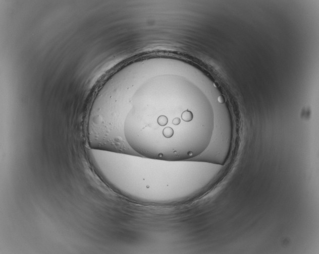 X0000111181113200907011026