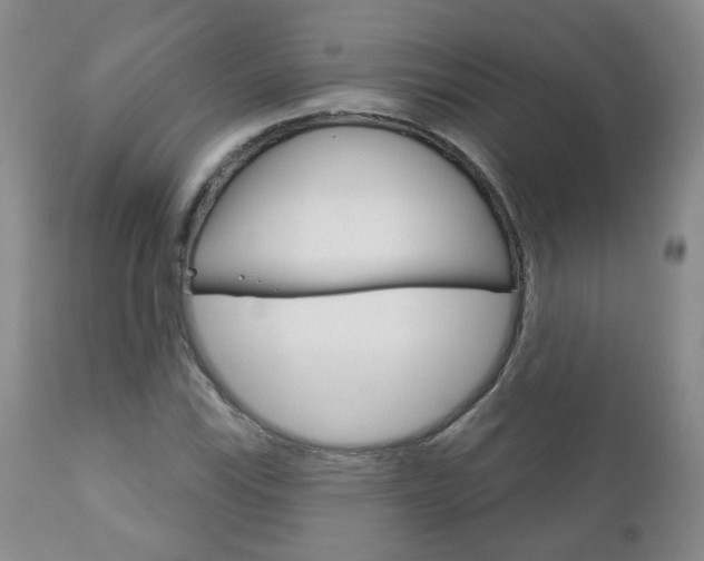 X0000111181115200907011026