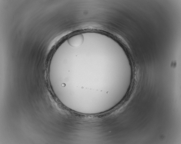 X0000111181117200907011026