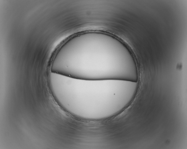 X0000111181119200907011026