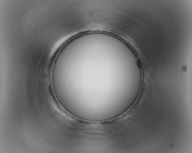 X0000111181120200907011026