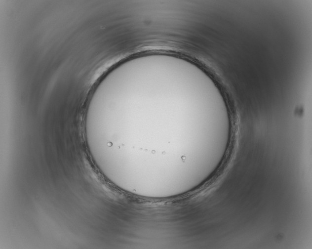 X0000111181121200907011026