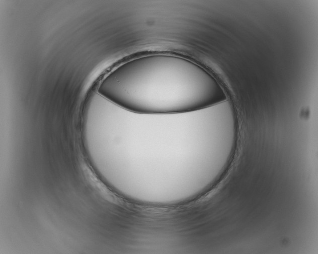 X0000111181122200907011026