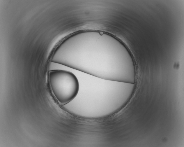 X0000111181123200907011026