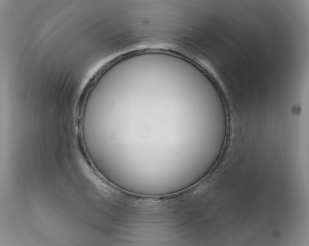 X0000111181124200907011026