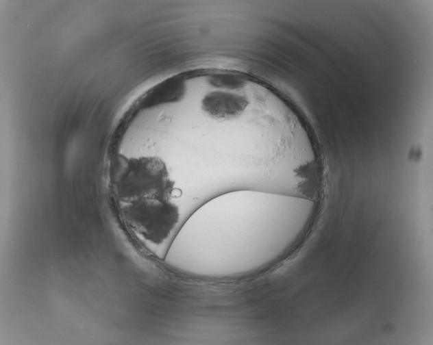 X0000111181125200907011026