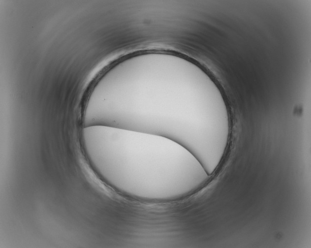 X0000111181126200907011026