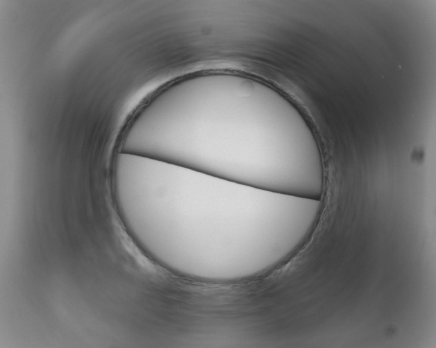 X0000111181127200907011026