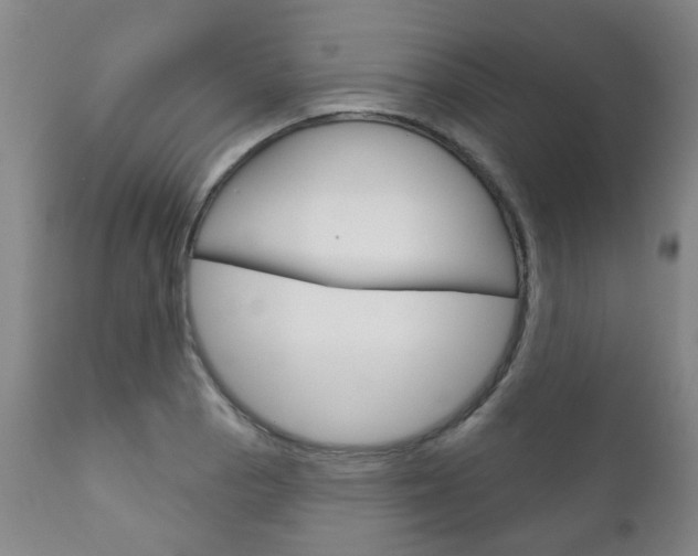 X0000111181129200907011026