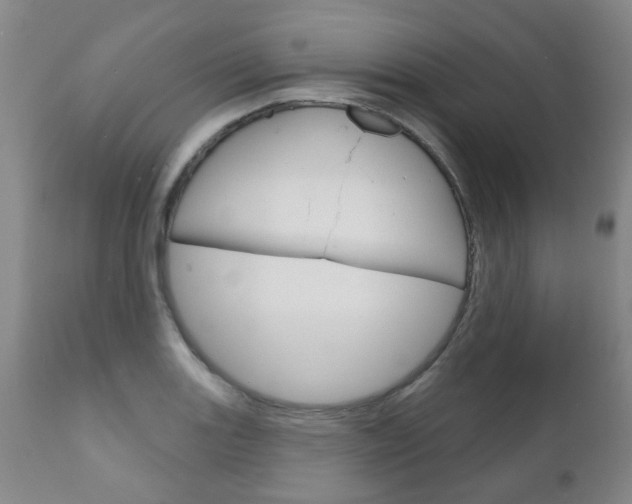 X0000111181131200907011026