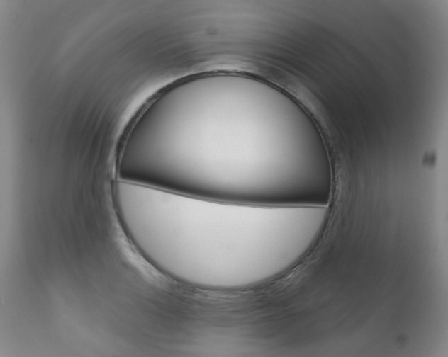X0000111181132200907011026