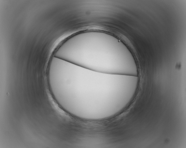 X0000111181133200907011026