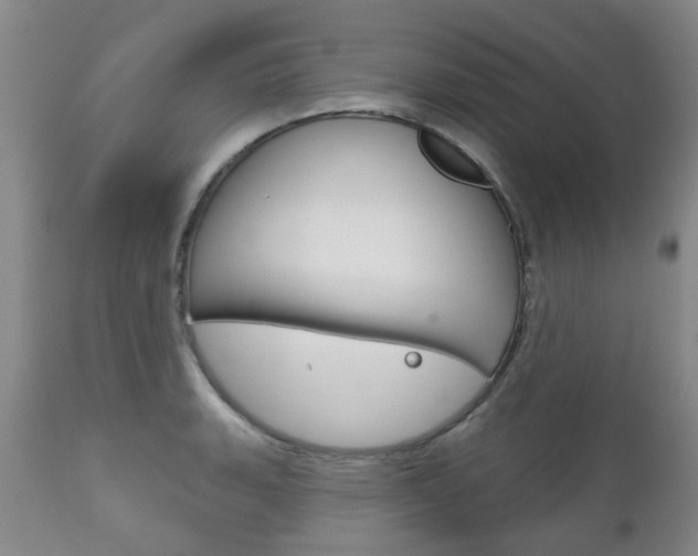 X0000111181135200907011026