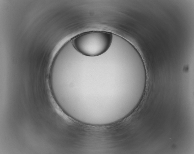 X0000111181136200907011026