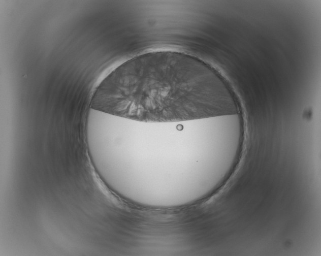 X0000111181137200907011026
