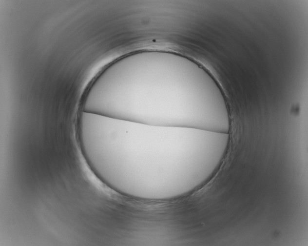 X0000111181139200907011026