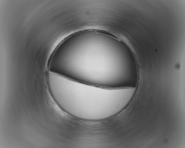 X0000111181140200907011026