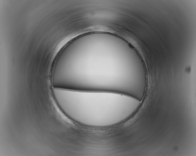 X0000111181141200907011026