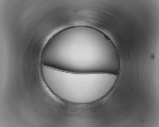 X0000111181142200907011026