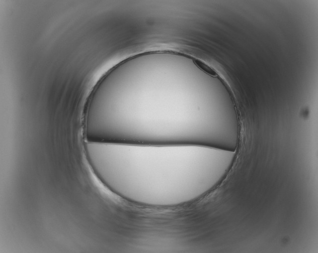 X0000111181143200907011026