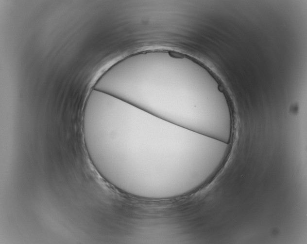 X0000111181145200907011026