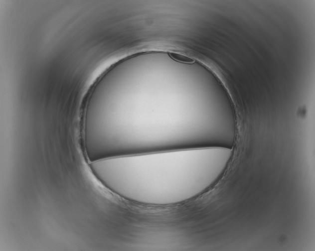 X0000111181147200907011026
