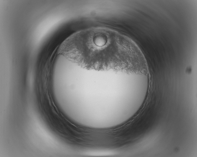 X0000111181151200907011026