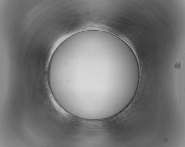 X0000111181152200907011026